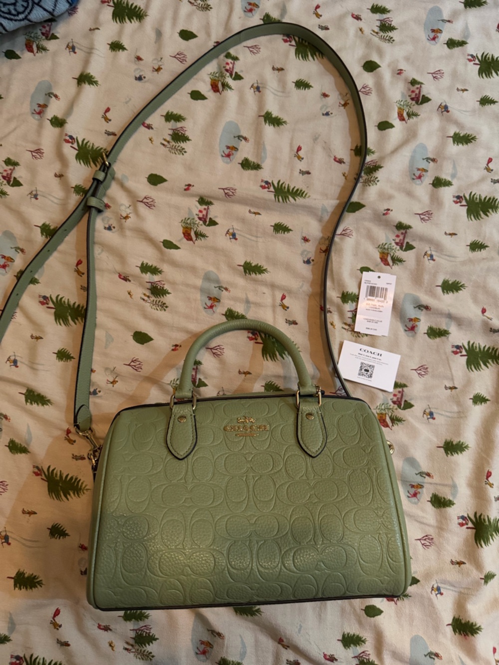 Coach Rowan (Pistachio)